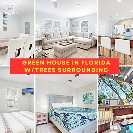 Green House In Florida With Trees Surrounding